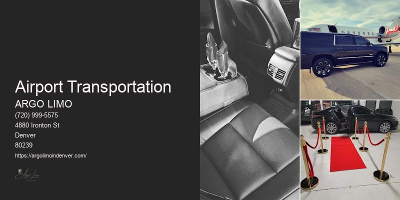 Transporter Limo Service