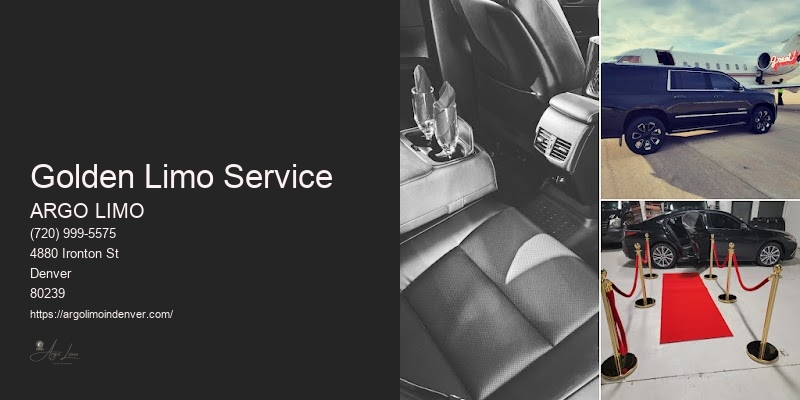 Limo Airport Service