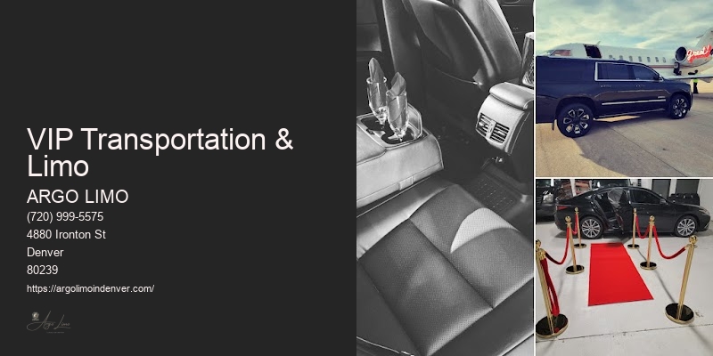 Transportation Services Limo